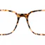 Snazzy Glasses in Cream Tortoise