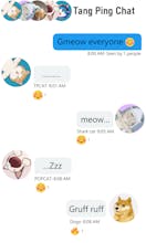 Tang Ping Cat - Memecoin Project gallery image