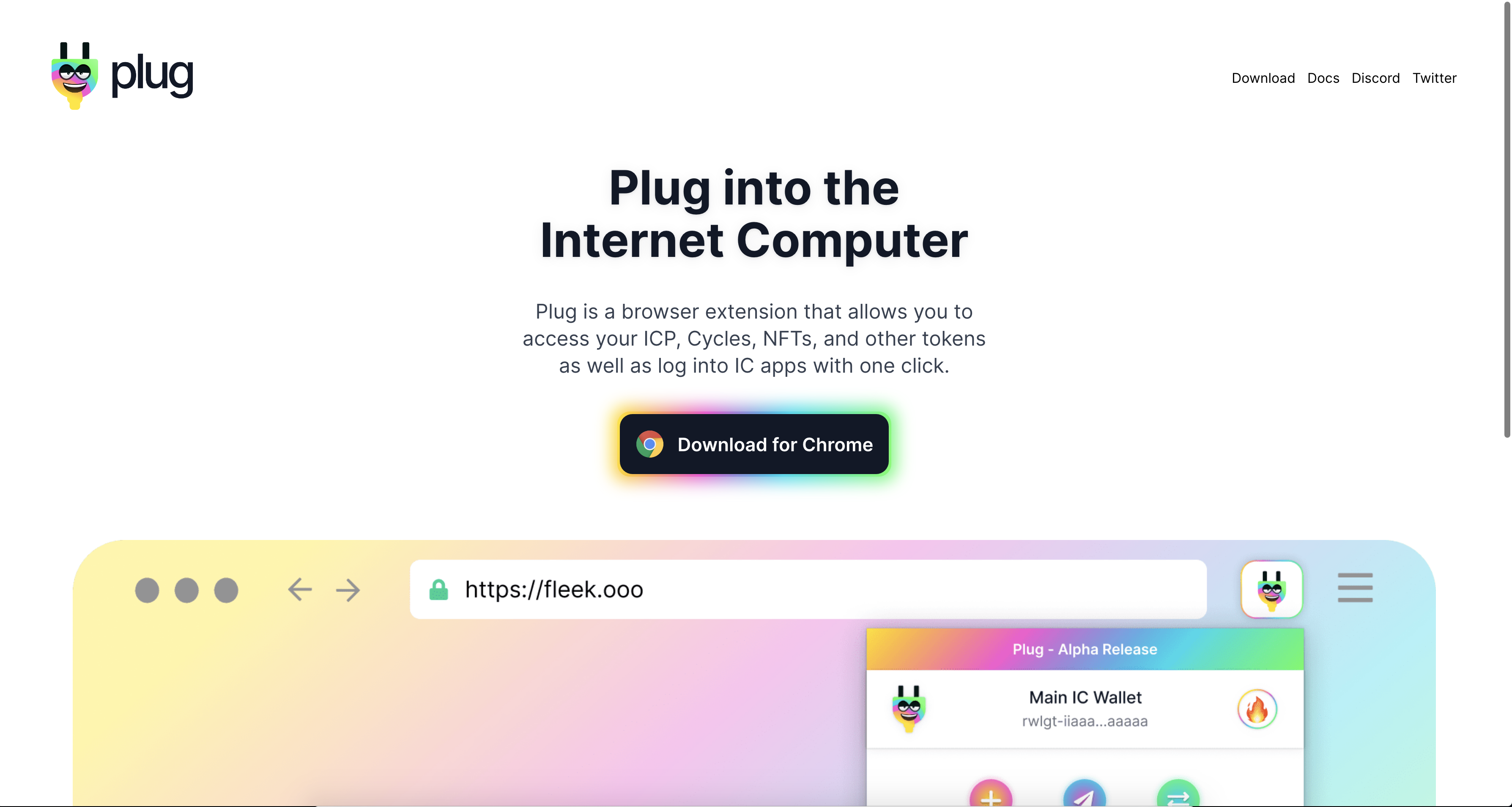 Plug Wallet gallery image