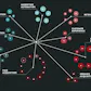 Growthverse