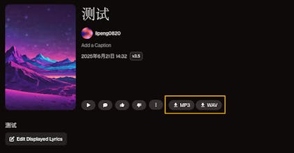 SUNO Capture gallery image