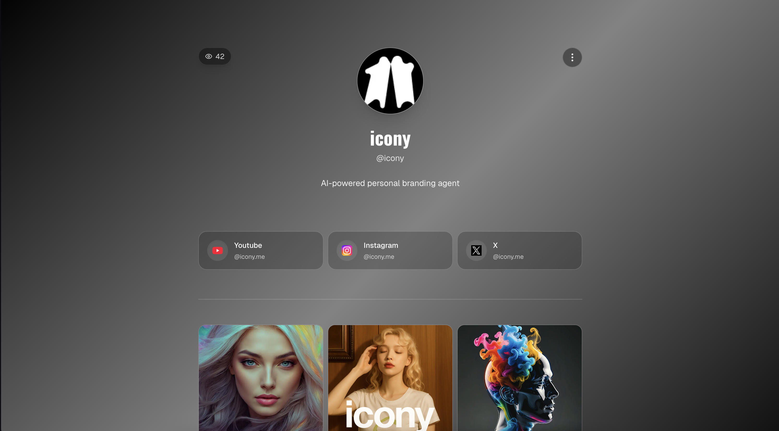 icony gallery image