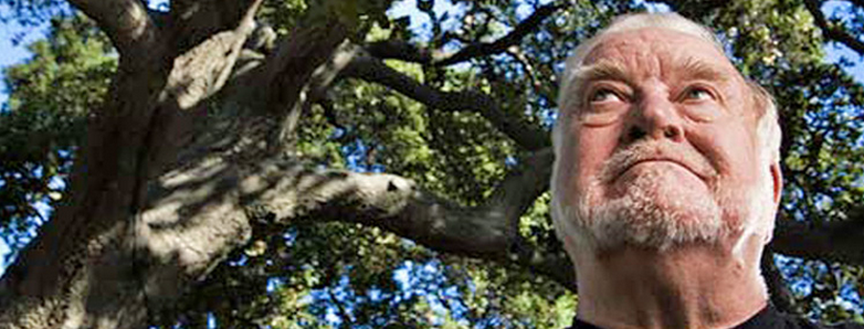 Flow: The Psychology of Optimal Experience gallery image