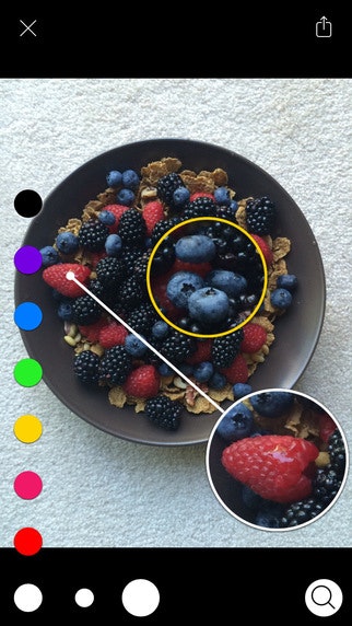 Annotable gallery image