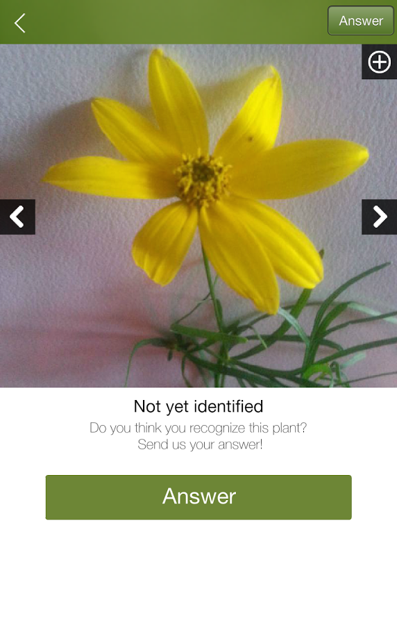 Plantifier gallery image