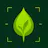 Virido