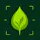Virido