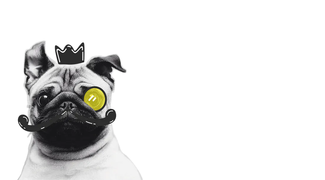 Petdom