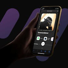 ShowMusic gallery image