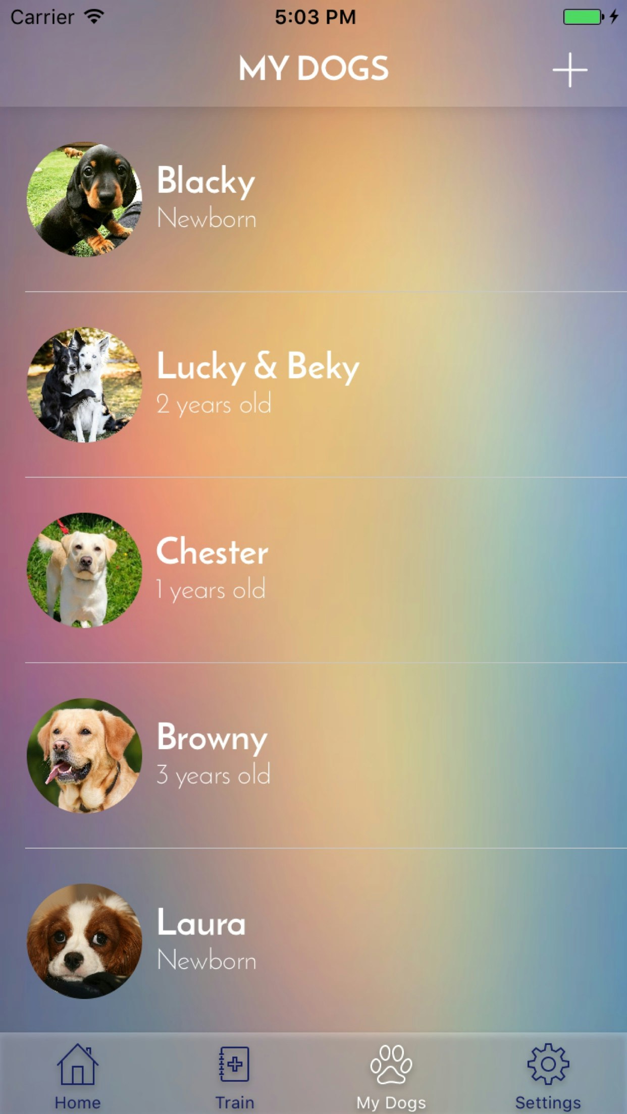 My Dog App - Care my Dog gallery image