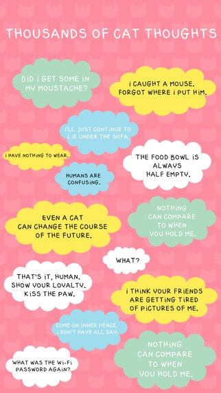 Telekitty gallery image