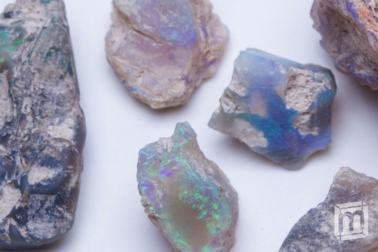 Mini Museum 3 gallery image