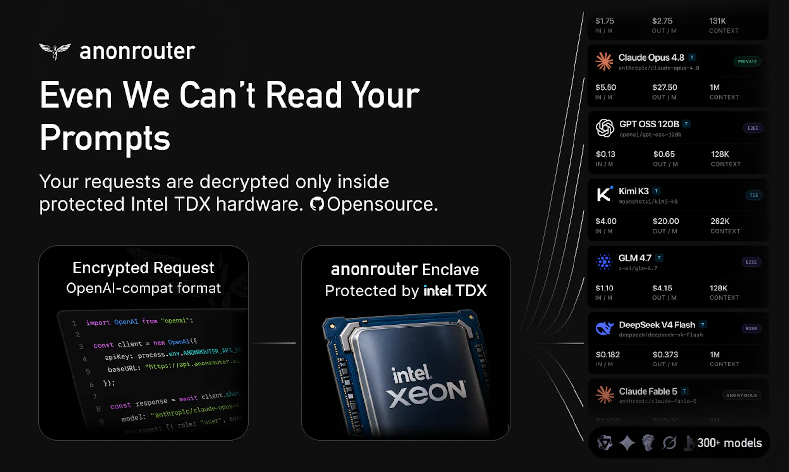 anonrouter screenshot 2