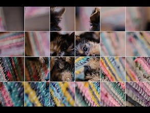 Rotaboxes gallery image