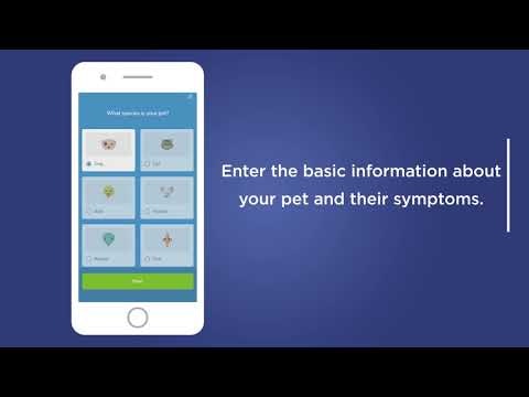 Maeve by Barkibu gallery image