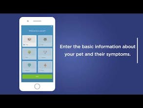 Maeve by Barkibu gallery image