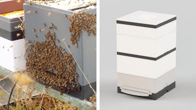 NectarNest gallery image