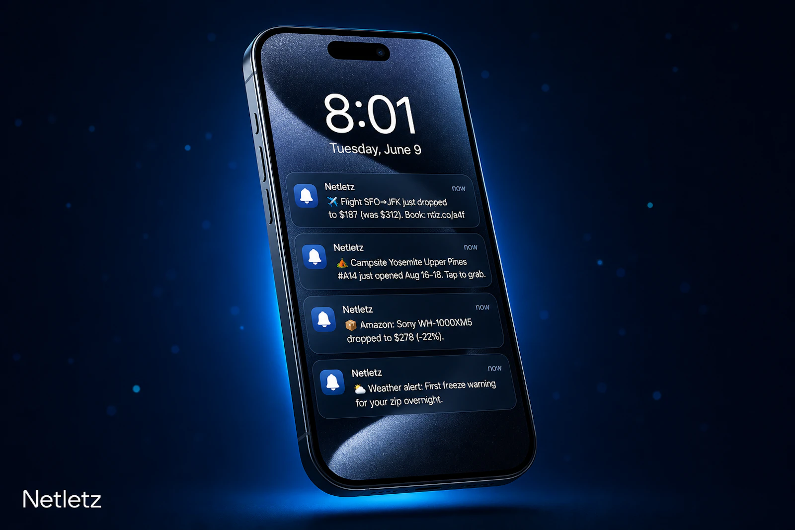 Netletz screenshot 3