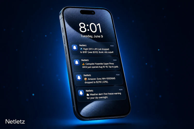 Netletz screenshot 3