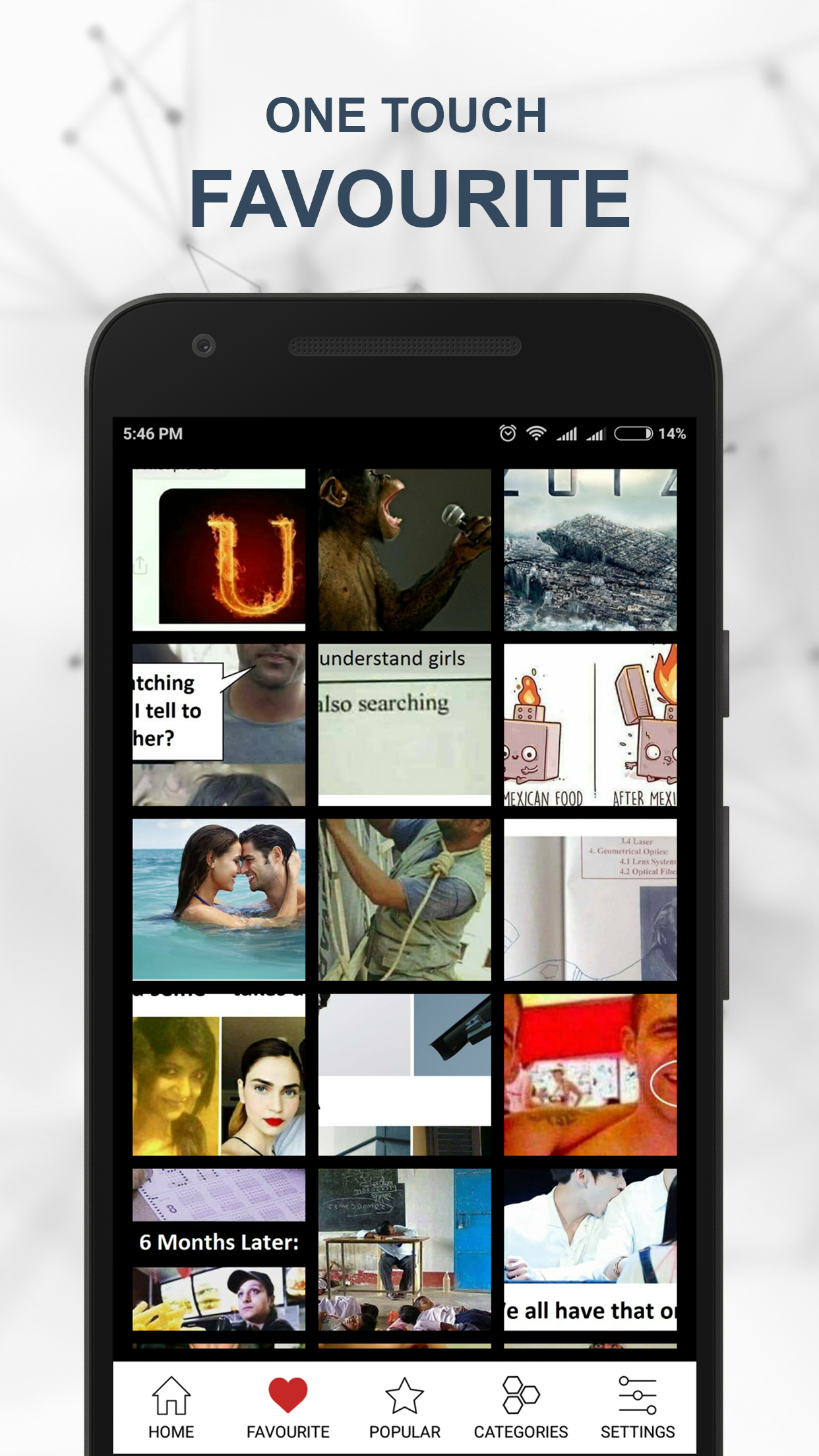 Vega - Social Sutta gallery image