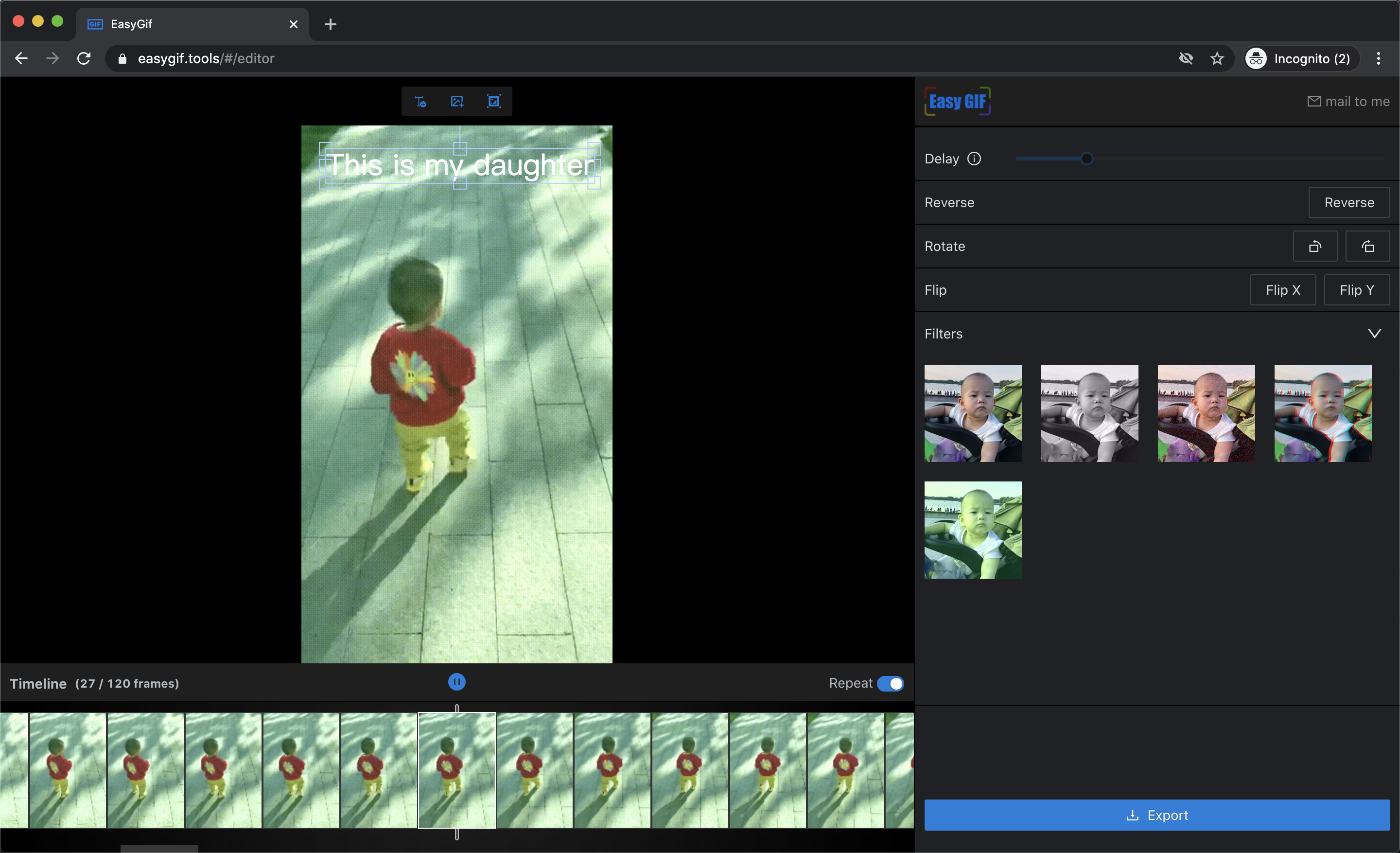 EasyGif gallery image