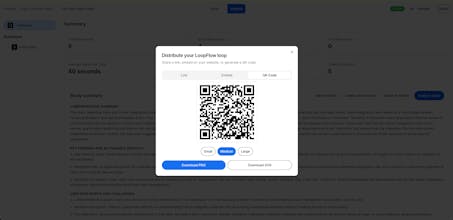 LoopFlow gallery image