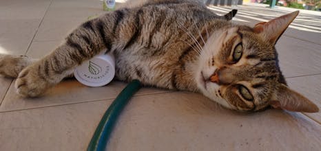 Naturicious.pt - Oleo CBD Portugal gallery image