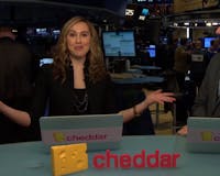 Cheddar on Vimeo media 2