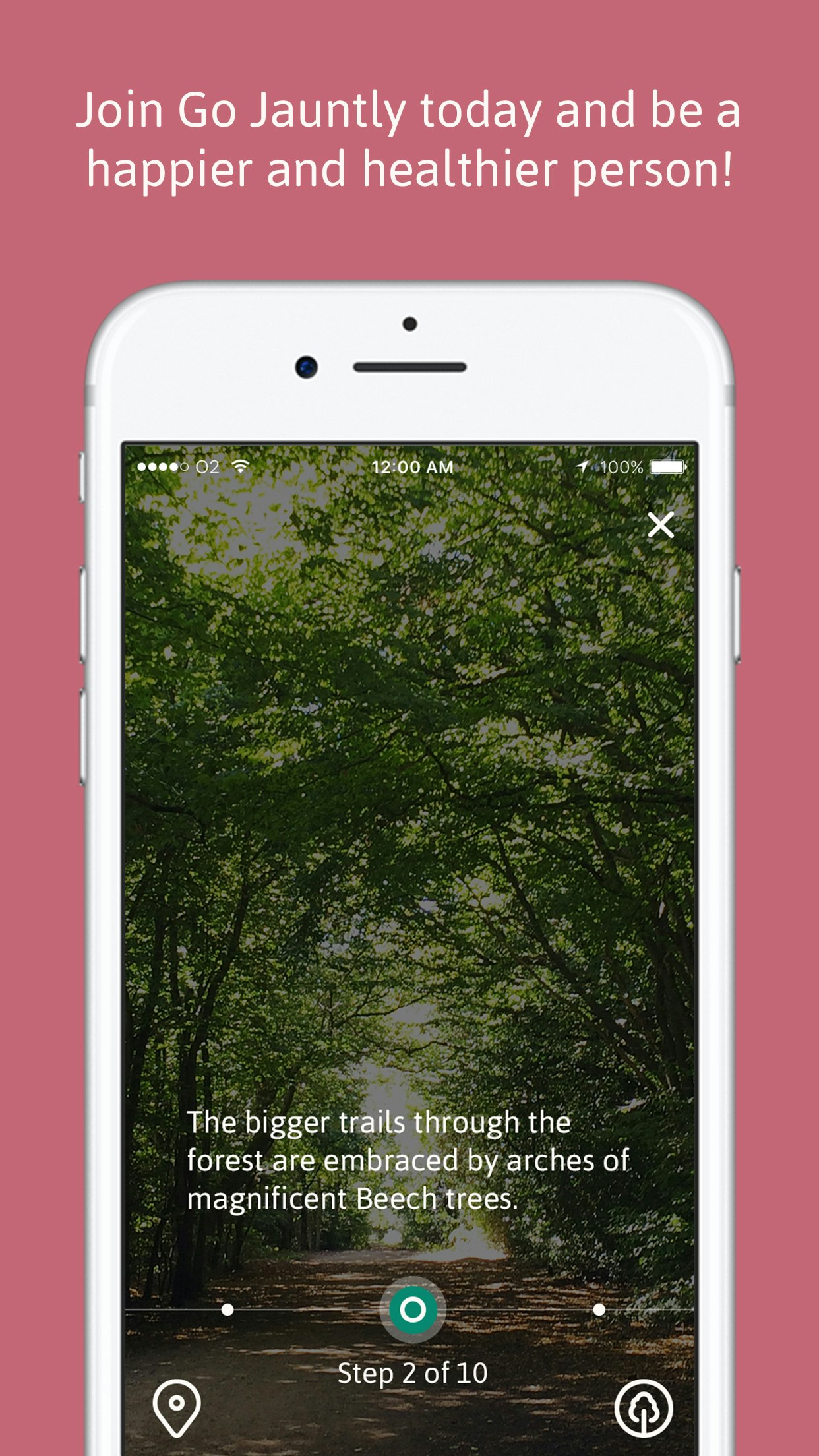 Go Jauntly gallery image