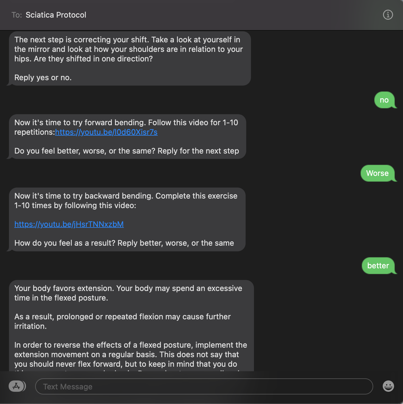 The Sciatica Protocol gallery image