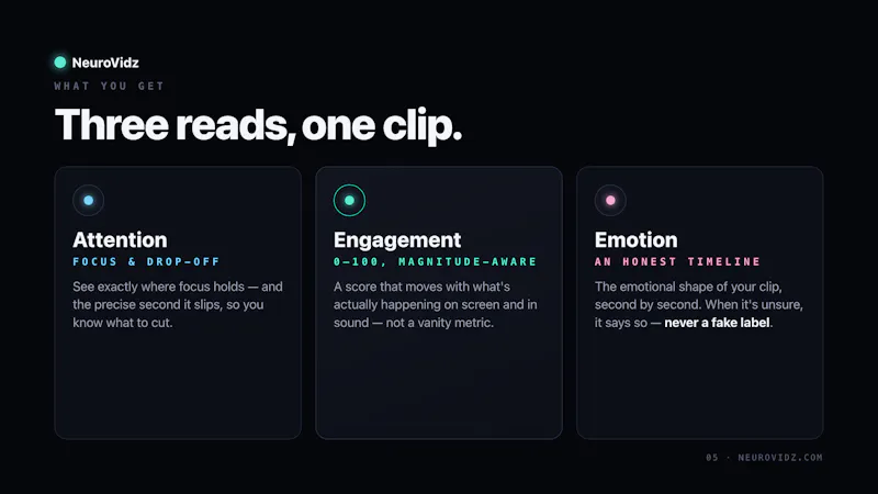 NeuroVidz screenshot 7