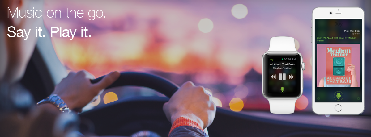 Joy for Spotify gallery image