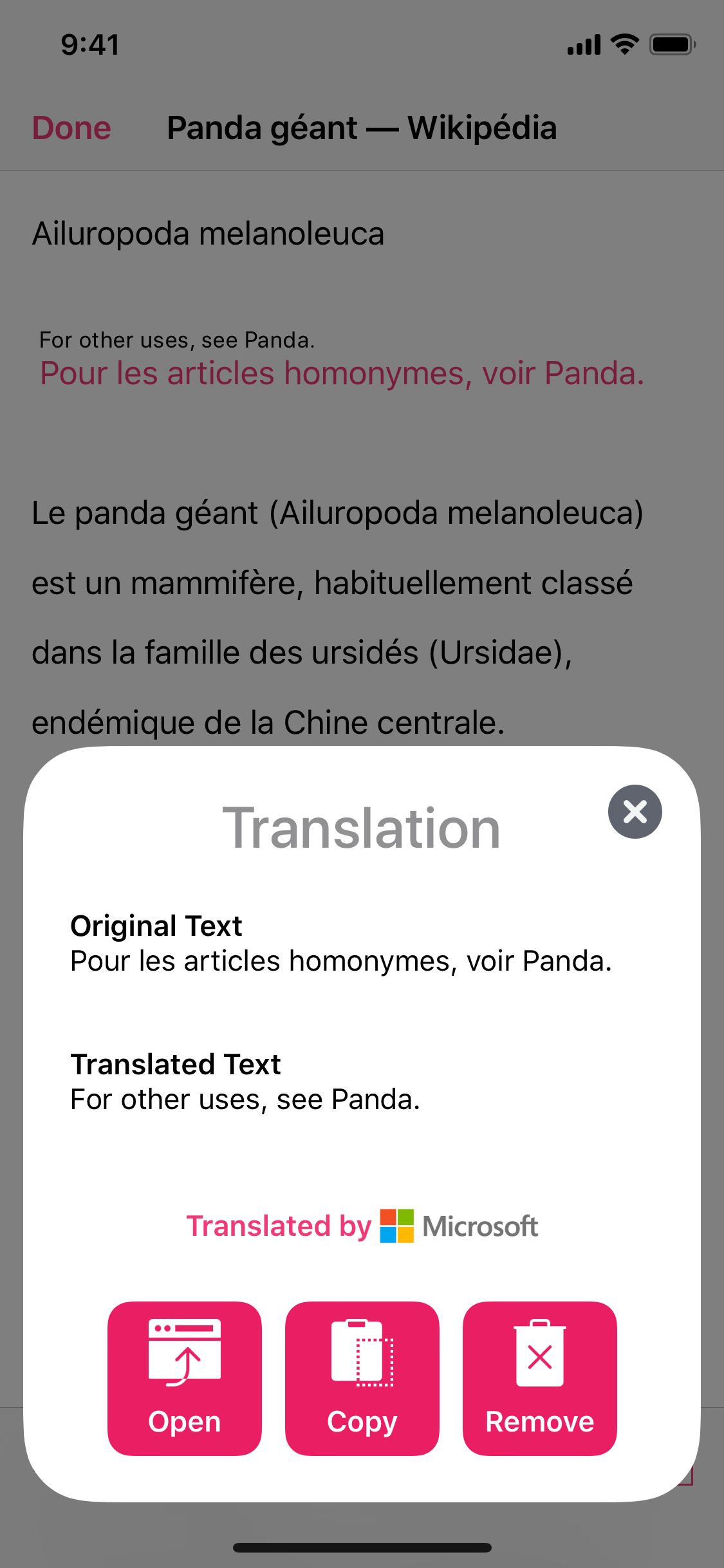 Babelgum Translator gallery image