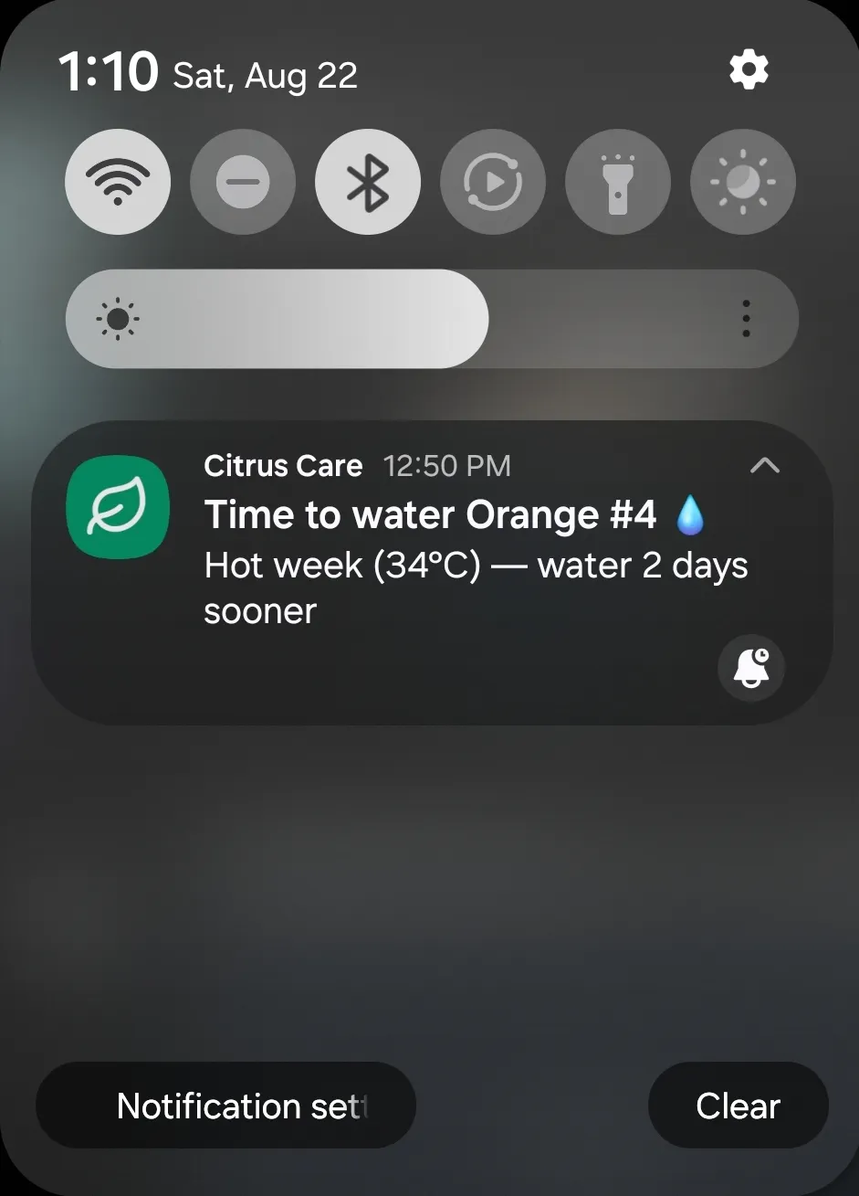 Citrus Care gallery image