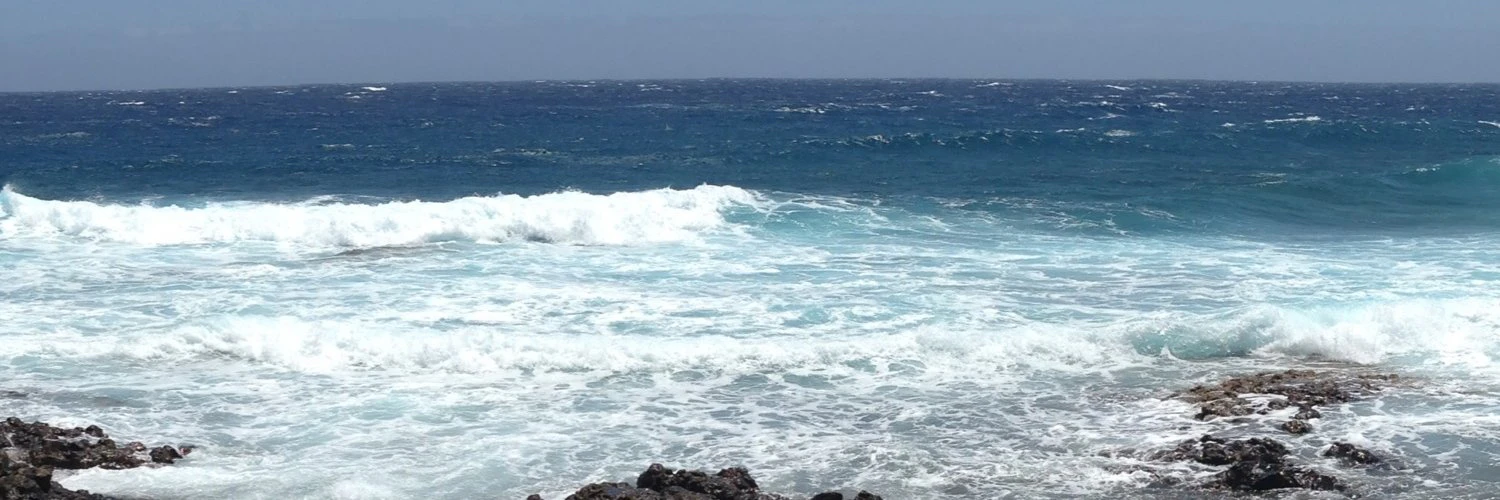 Lewis Theobald cover