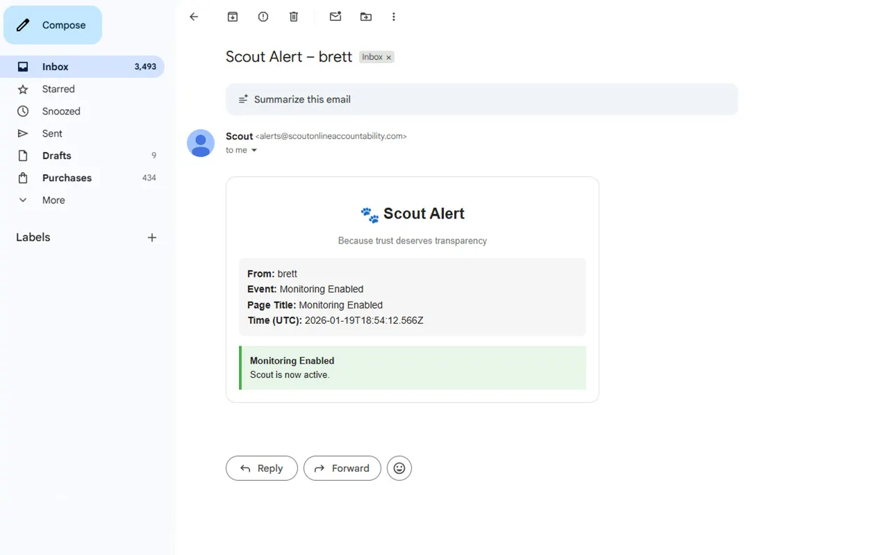 Scout - Online Accountability gallery image
