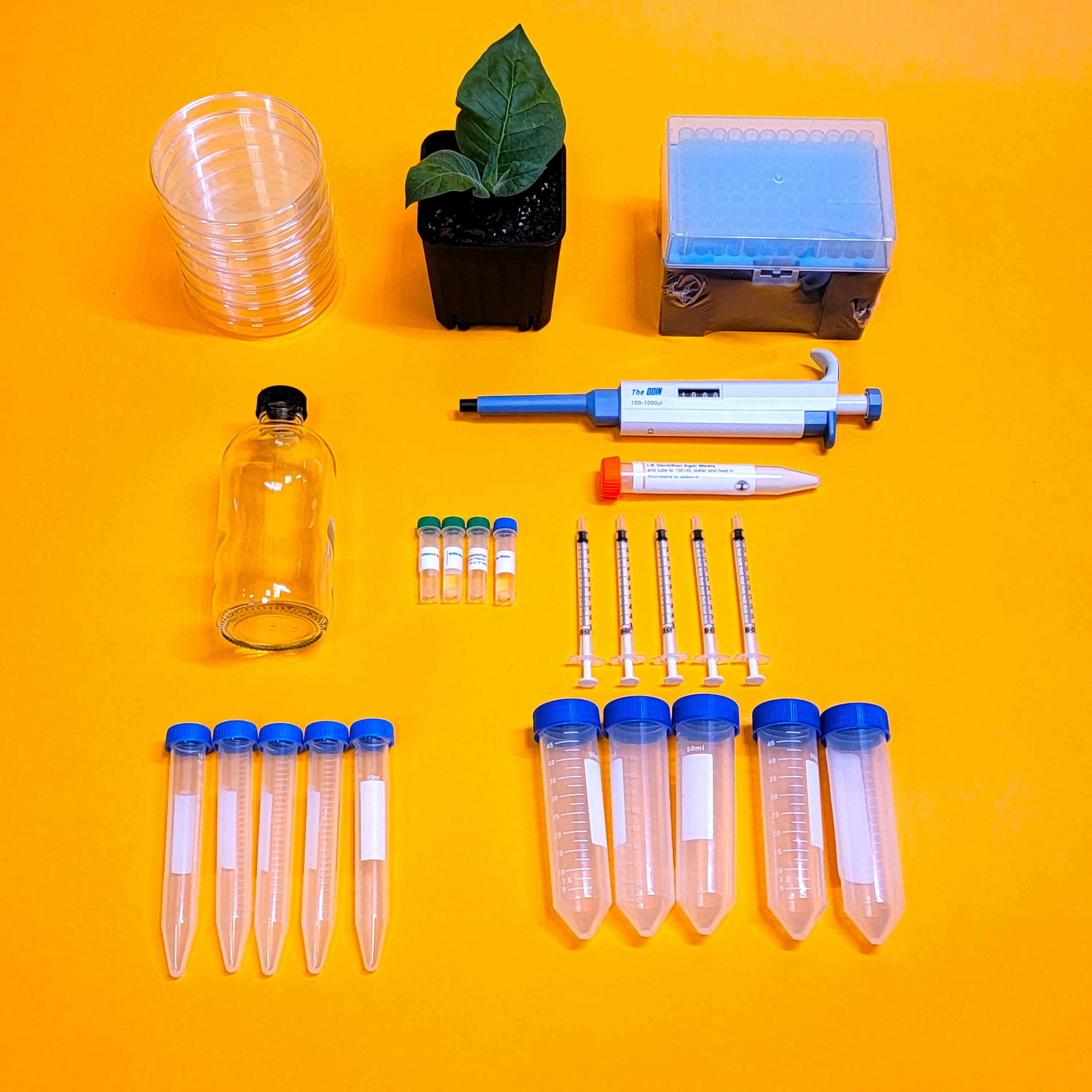 DIY Plant Genetic Engineering Kit - Нарисуйте листья растений, используя генетическую инженерию медиа 1