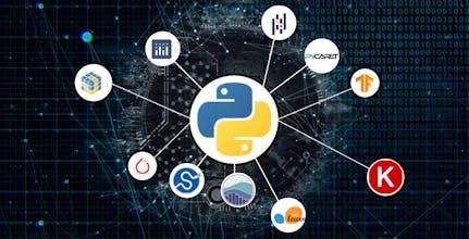 Programming for Data Science with Python gallery image