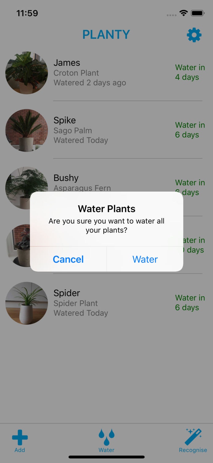 Planty gallery image