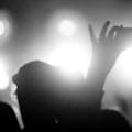 Bands Of The Week