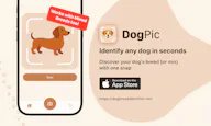 DogPic
