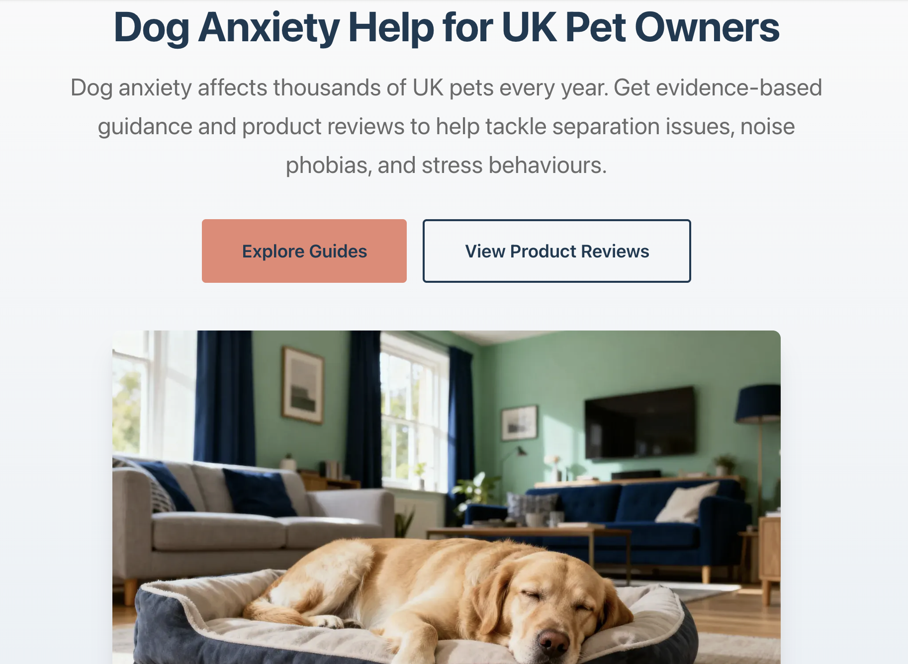 Captain Calm gallery image