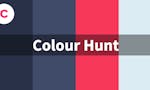 Colour Hunt image