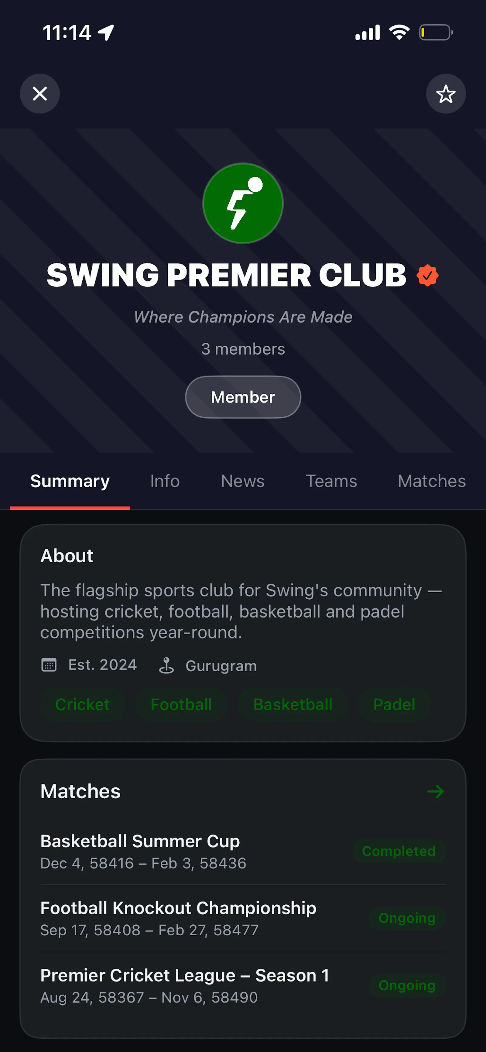 SWING - Player Matchmaking screenshot 3
