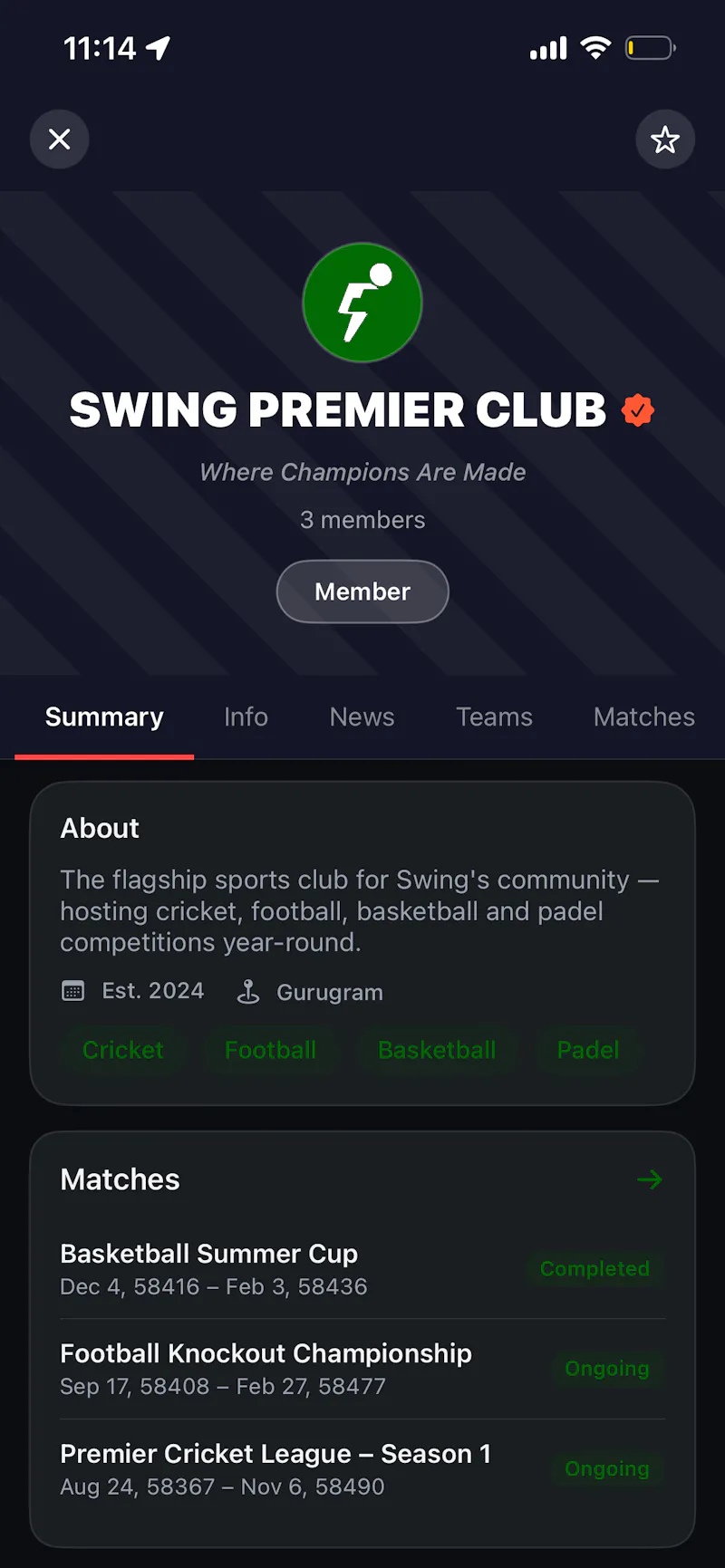 SWING - Player Matchmaking screenshot 3