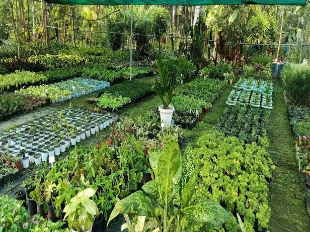 Vastu Tips for a perfect Garden gallery image