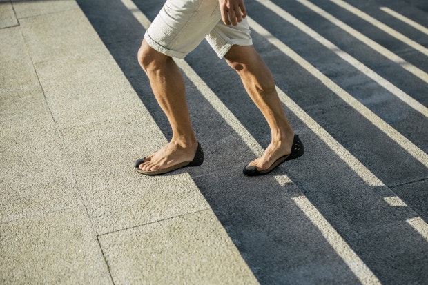 iGUANEYE Jungle gallery image