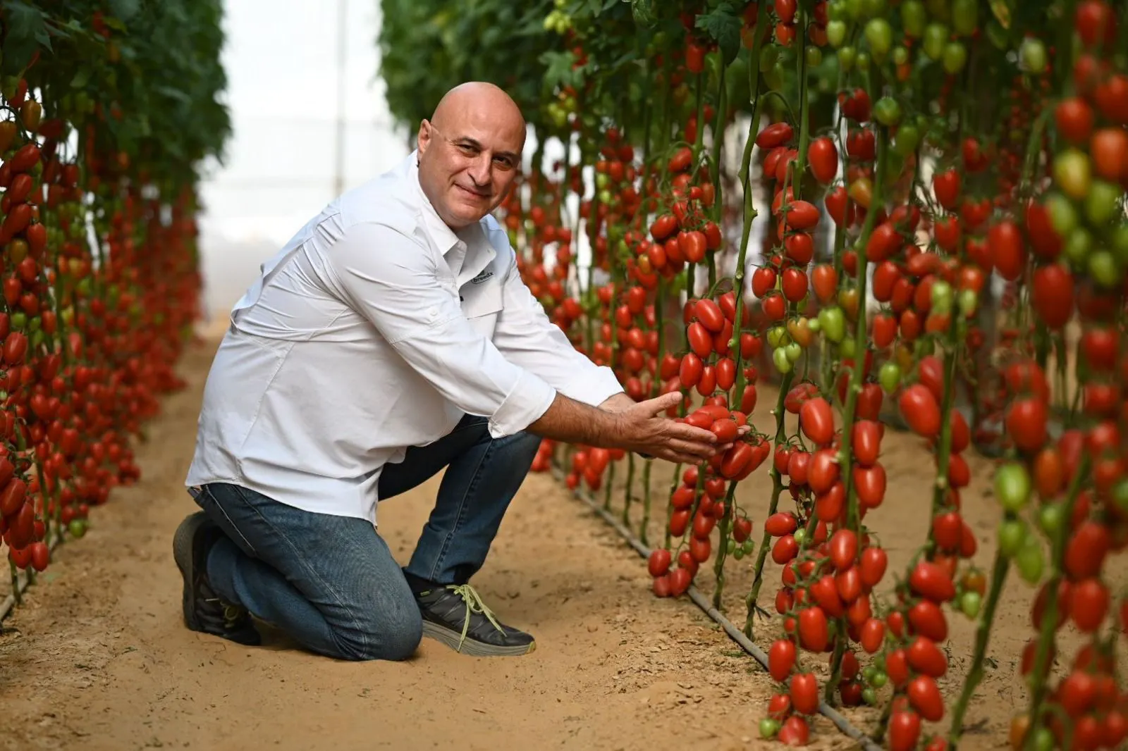BreedX Specialty Vegetable Seed Breeding gallery image