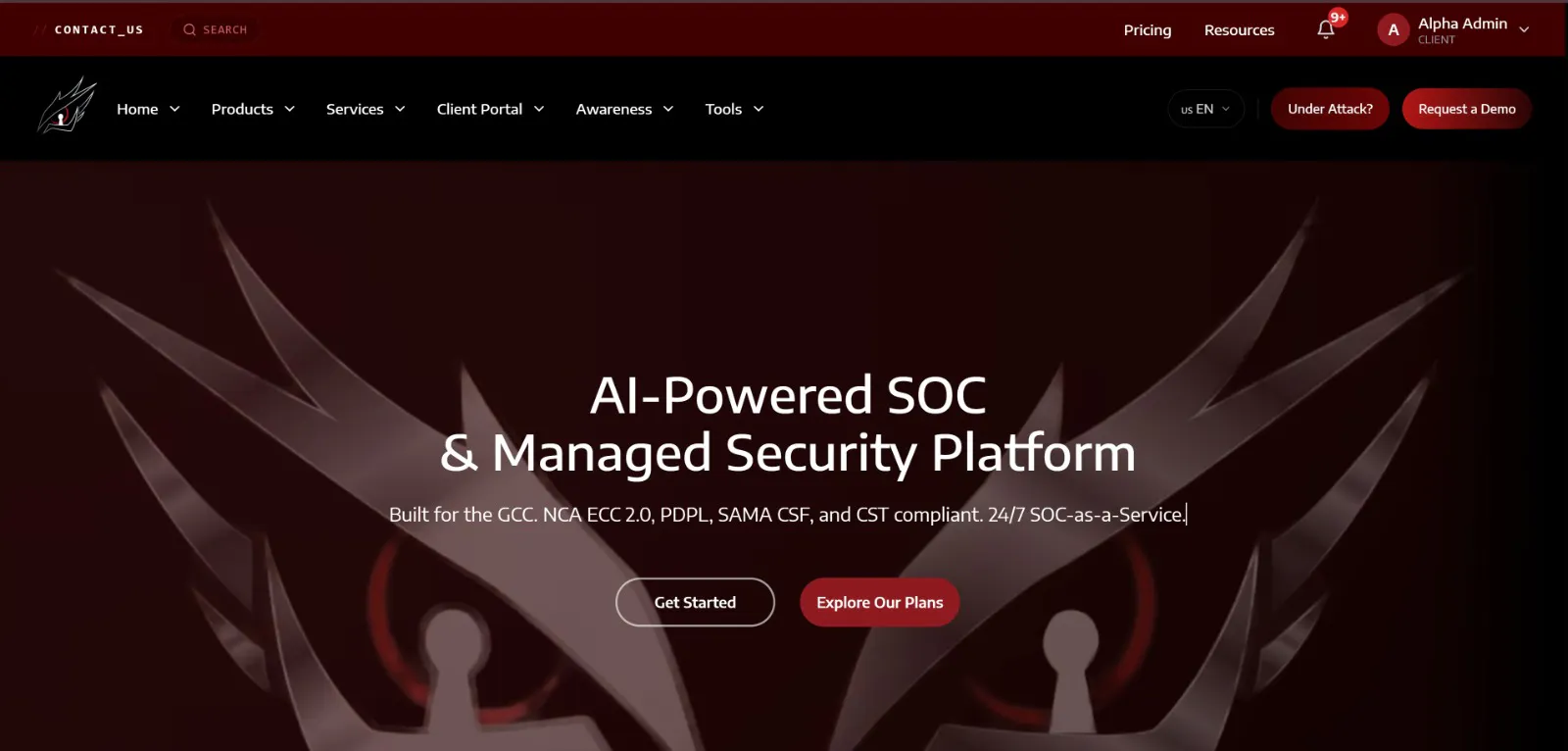 Eagle Eye Security gallery image