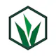 Grassroot Academy